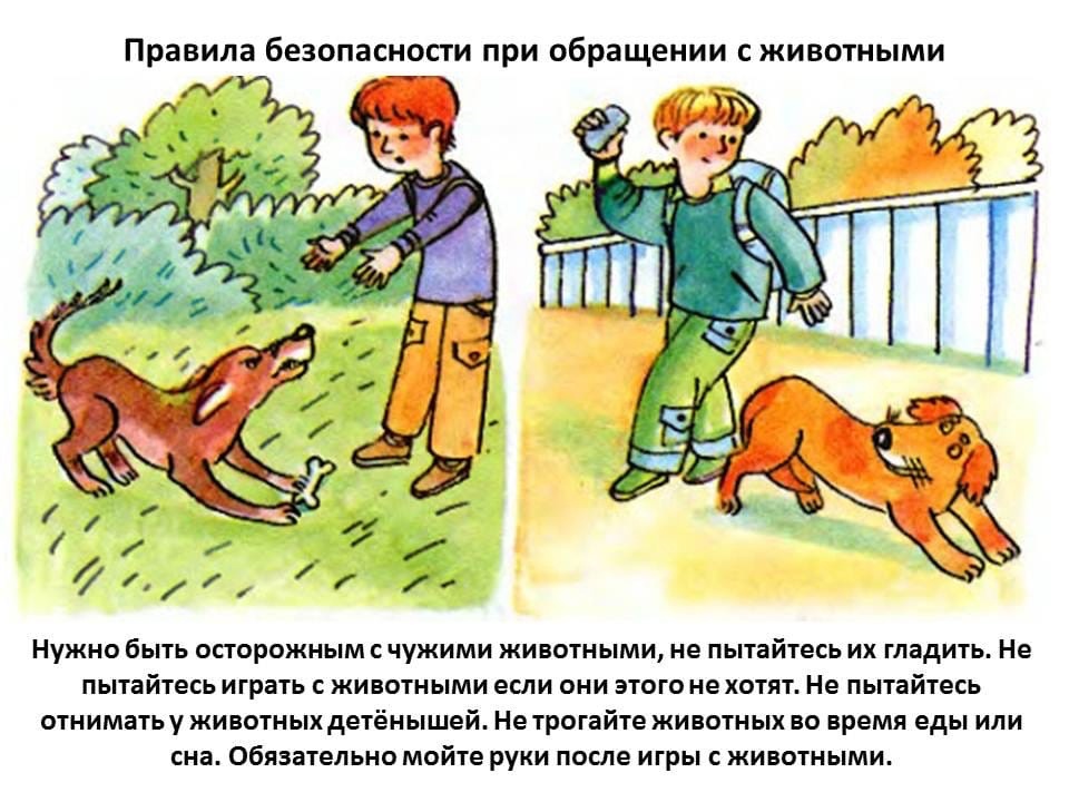 Минутка БЕЗопасности.