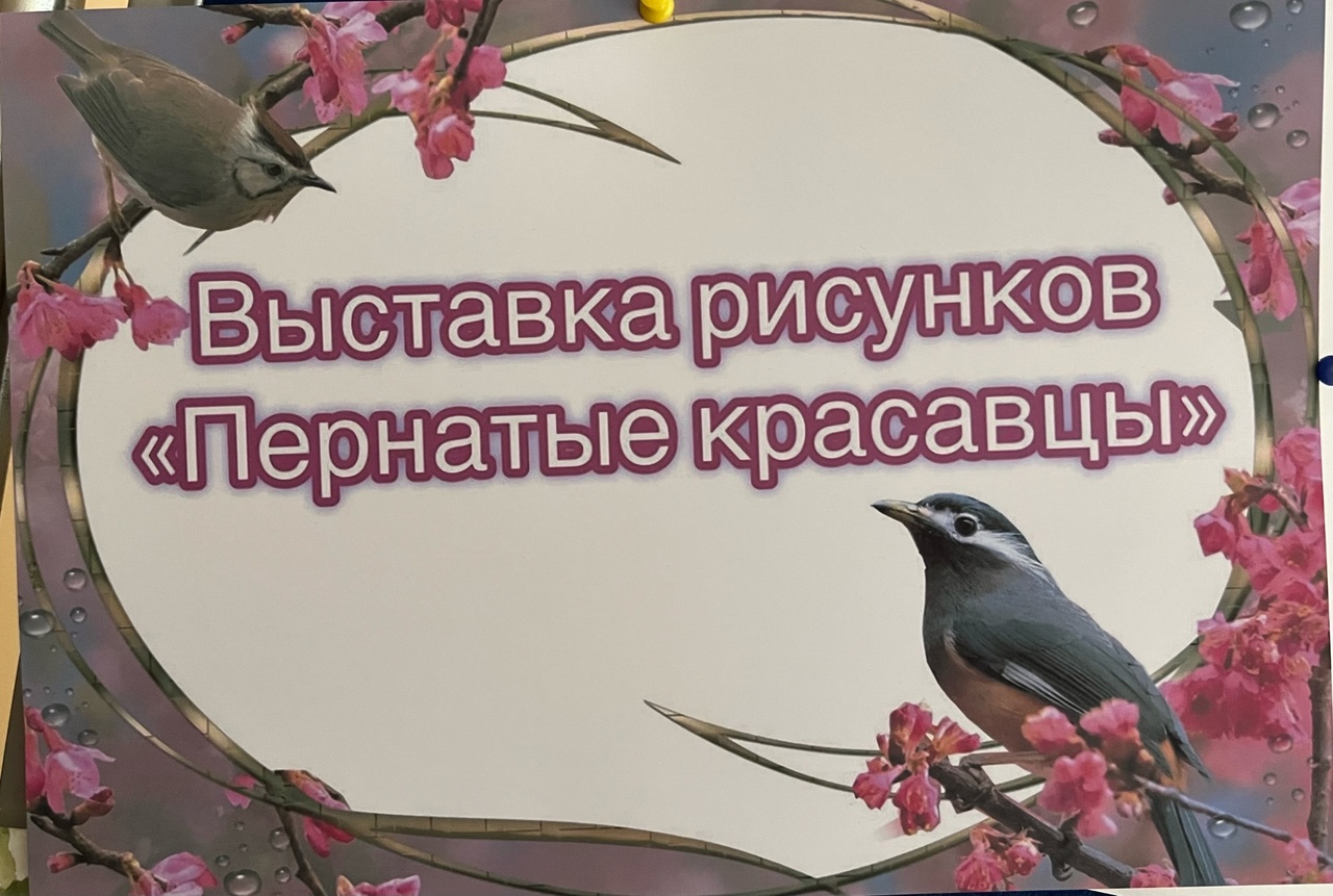 Выставка рисунков учащихся 4 «А» класса «Пернатые красавцы».