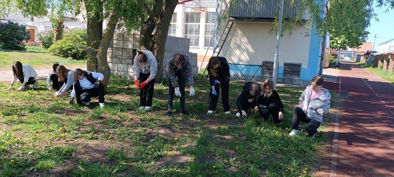 Субботник в школе: вместе на благо территории.