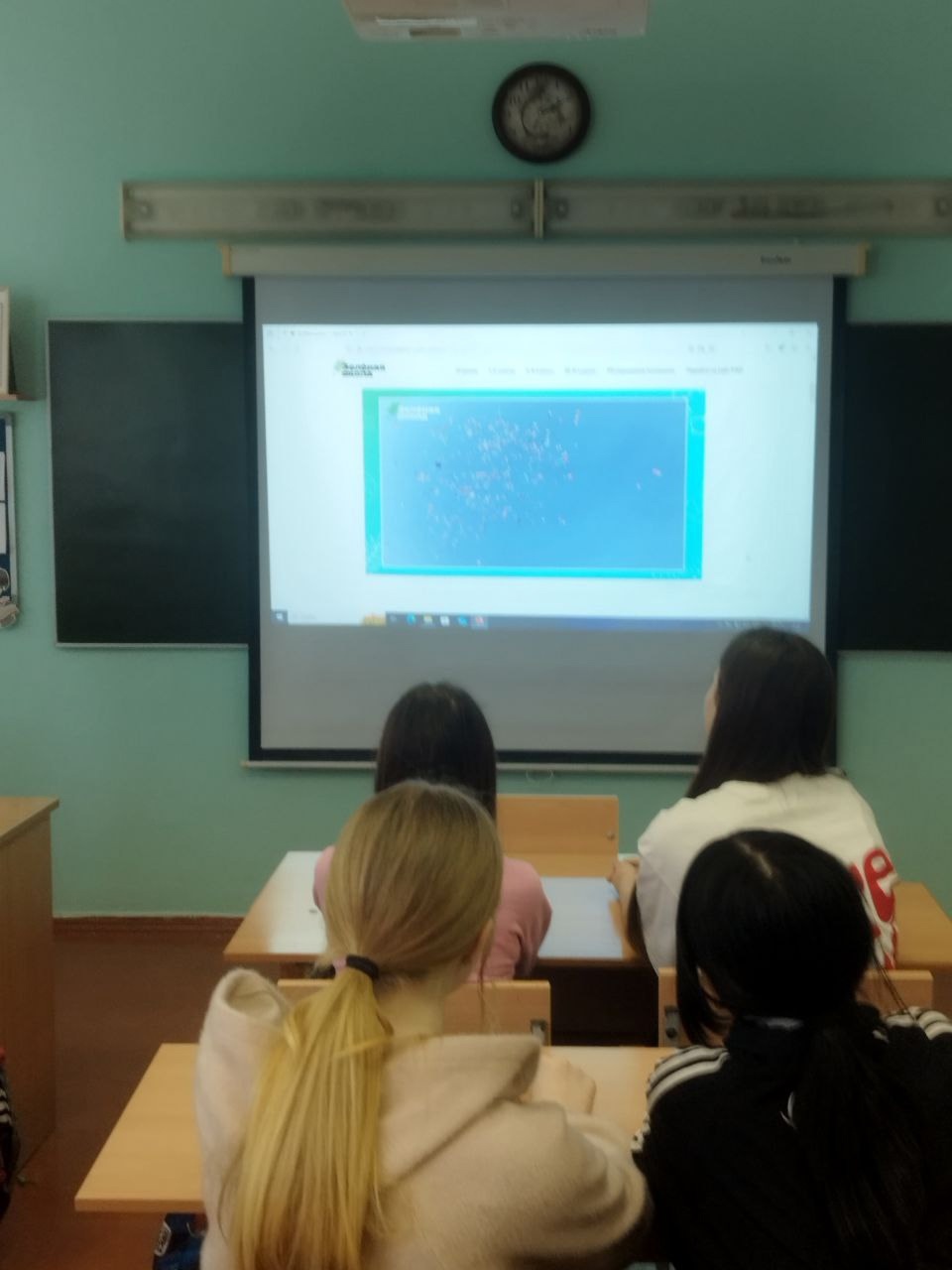 В нашей школе проходят экологические уроки «Зелёная школа».