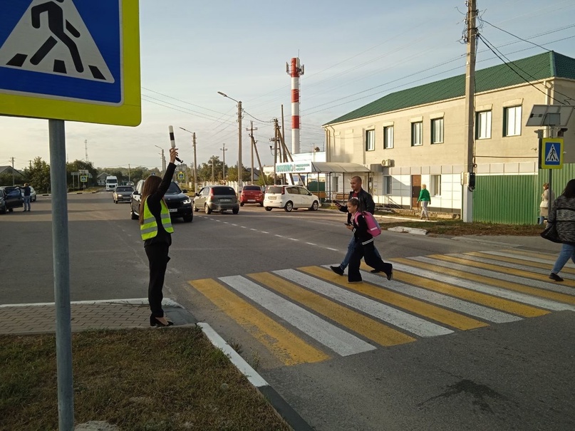 Внимание, пешеход!.